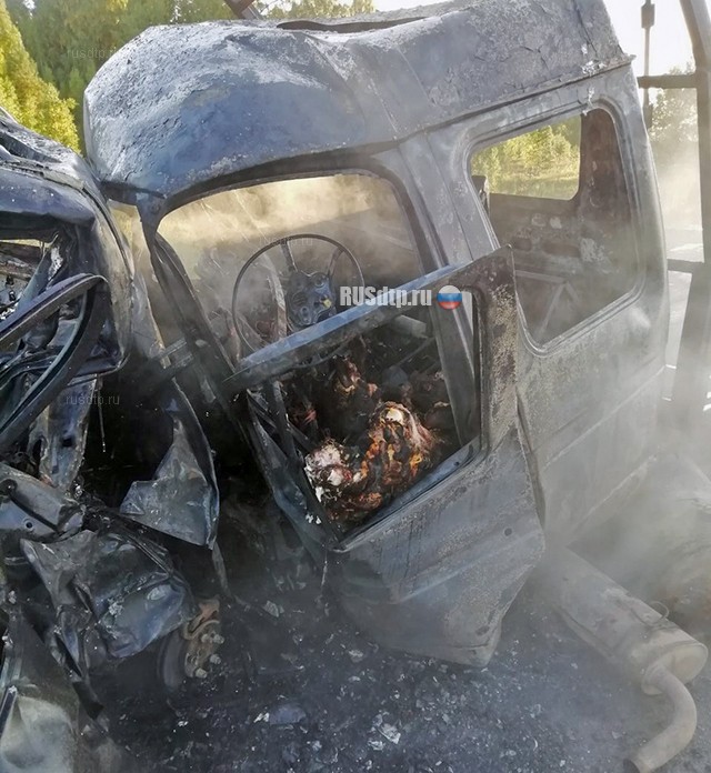 Четверо погибли в огненном ДТП в Курганской области