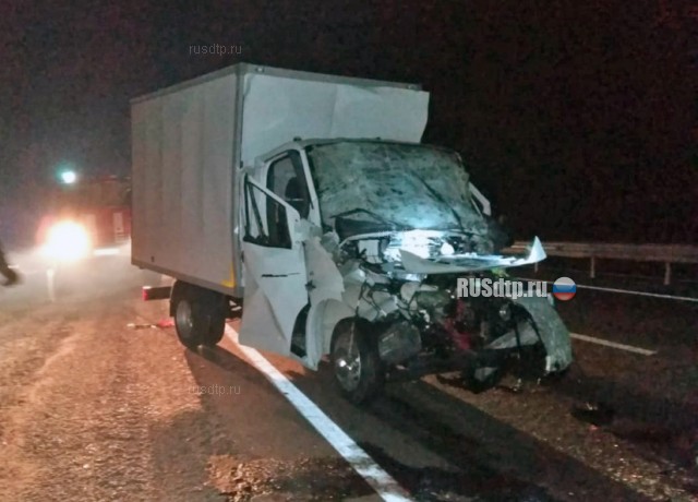 Водитель и пассажир «ГАЗели» погибли в ДТП на трассе М-7 под Владимиром