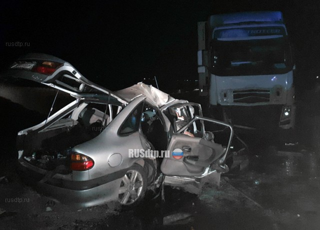 Четверо белорусов погибли в ДТП с грузовиком и коровой в Калмыкии