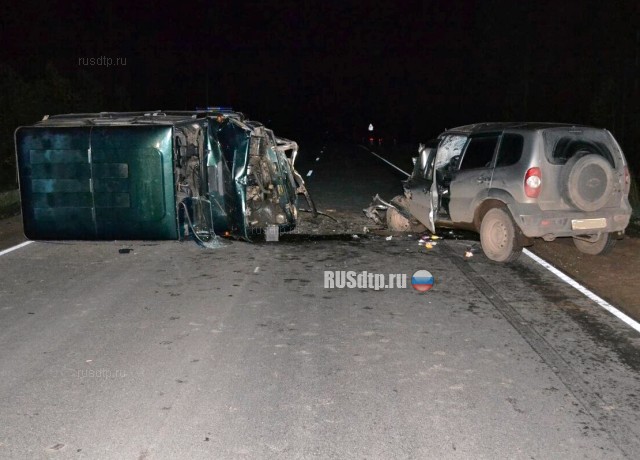 16-летняя девушка погибла по вине пьяного водителя в Пинежском районе