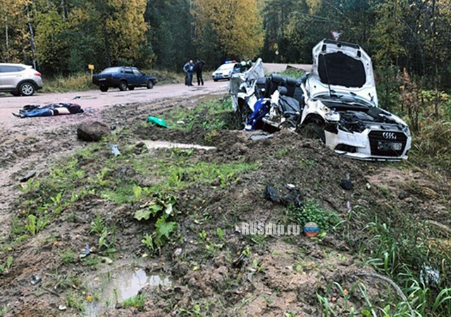 Двое молодых разбились на Audi в Тосненском районе