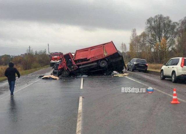 Мужчина погиб в лобовом ДТП на трассе Нижний Новгород — Саратов