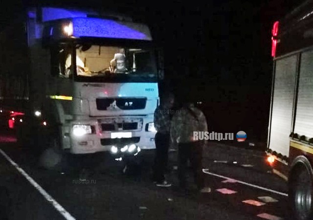 На трассе «Тамбов — Пенза» грузовик сбил четырех человек