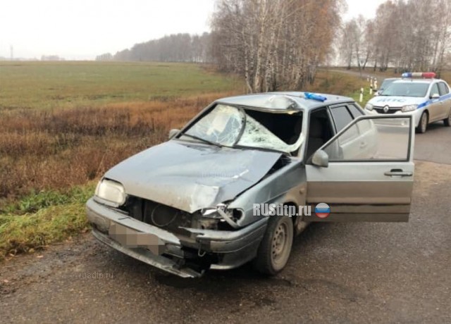 ВАЗ-2114 сбил насмерть пешехода в Белебеевском районе