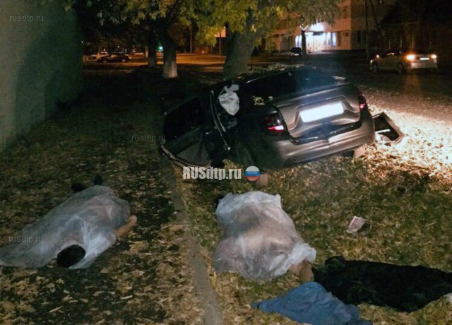 Два человека погибли в ночном ДТП в Оренбурге