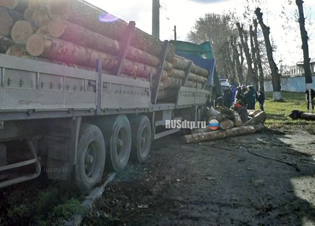 В Челябинске в ДТП с лесовозом погиб человек