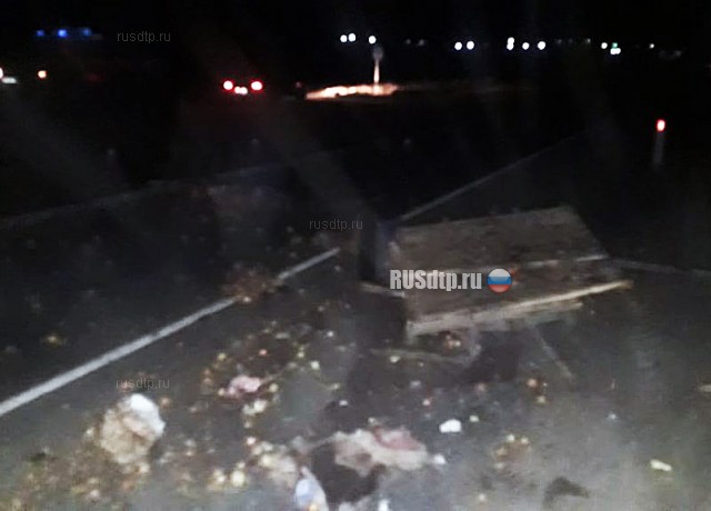 Трое погибли в ДТП с гужевой повозкой под Астраханью