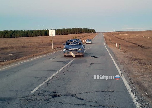В Челябинской области автомобиль сбил лошадь