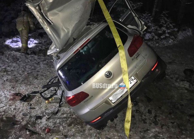 Двое взрослых и ребенок погибли в ДТП на трассе М-8 в Холмогорском районе