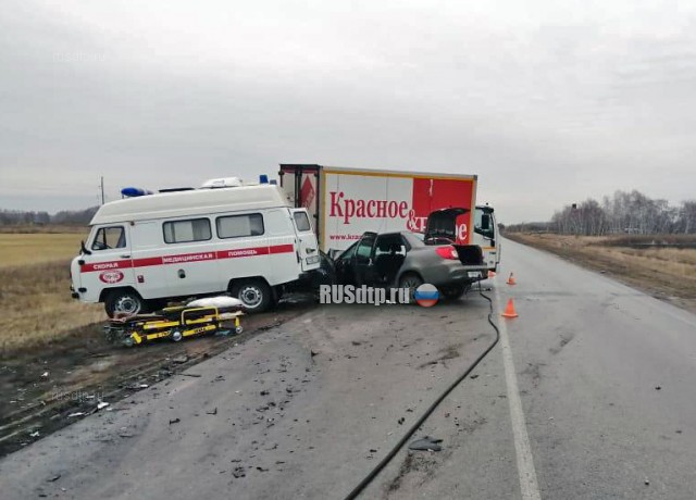 Под Омском в ДТП погиб 20-летний пассажир легковушки