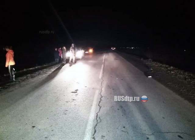 В Башкирии автомобиль сбил двух девочек-подростков