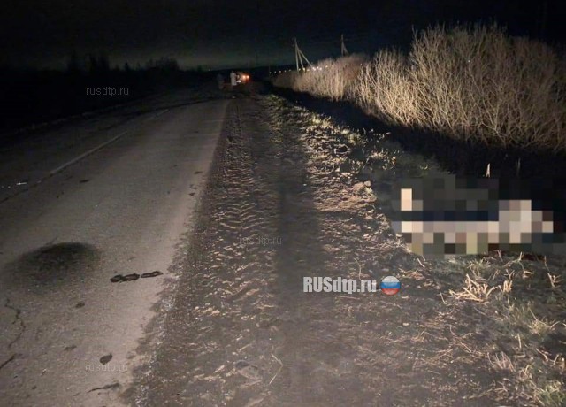 В Башкирии автомобиль сбил двух девочек-подростков