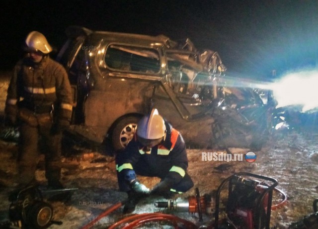 Под Оренбургом в ДТП с участием фуры и микроавтобуса погибли 6 человек