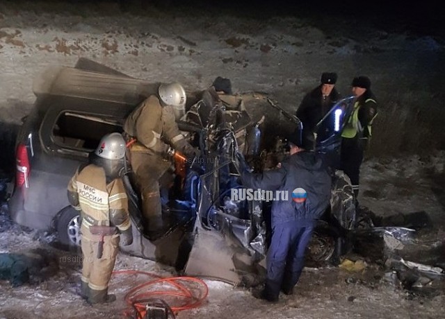 Под Оренбургом в ДТП с участием фуры и микроавтобуса погибли 6 человек