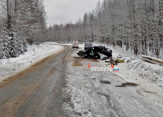 Мужчина и женщина погибли в ДТП с лесовозом в Пермском крае