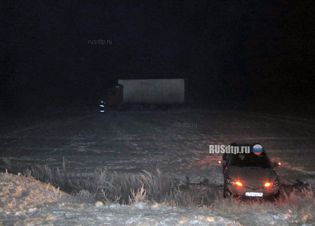 Под Оренбургом дальнобойщик упал замертво, увидев трупы на дороге