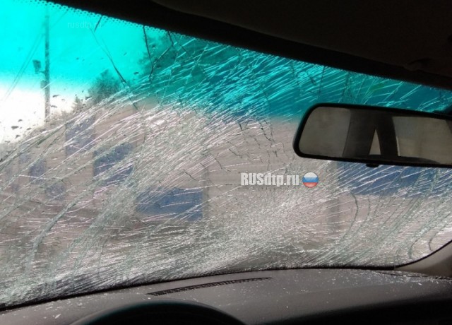 Глыба льда упала на автомобиль в Воронеже. ВИДЕО