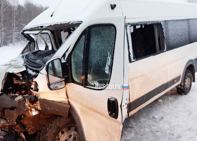 В Томской области в ДТП с микроавтобусом погибли два человека