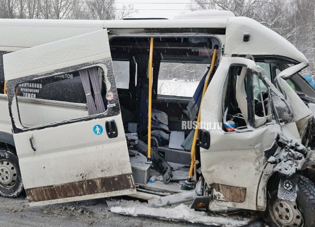 В Томской области в ДТП с микроавтобусом погибли два человека