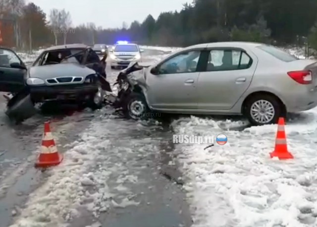 Женщина погибла в ДТП на автодороге Санкт-Петербург — Кировск