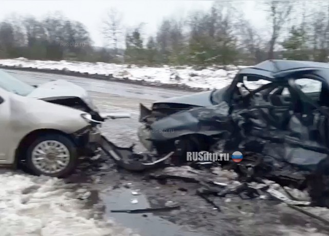 Женщина погибла в ДТП на автодороге Санкт-Петербург — Кировск