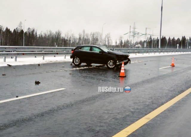Сын Валерии с девушкой попал в ДТП на трассе Санкт-Петербург — Москва