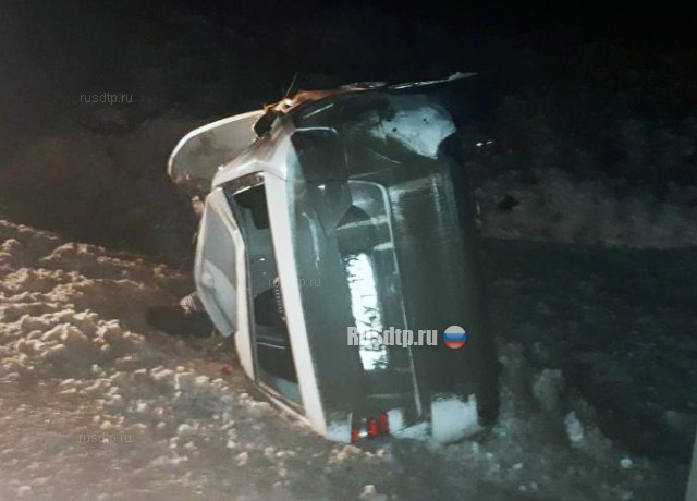 В Прикамье водитель насмерть сбил двоих пешеходов и сам погиб в ДТП
