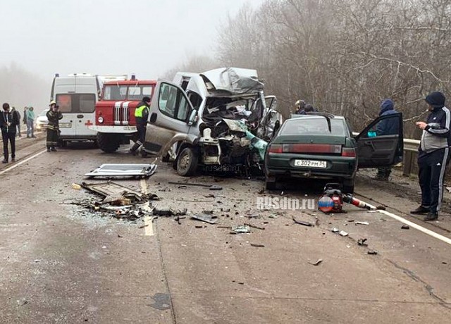 Пять человек погибли в ДТП в Воронежской области