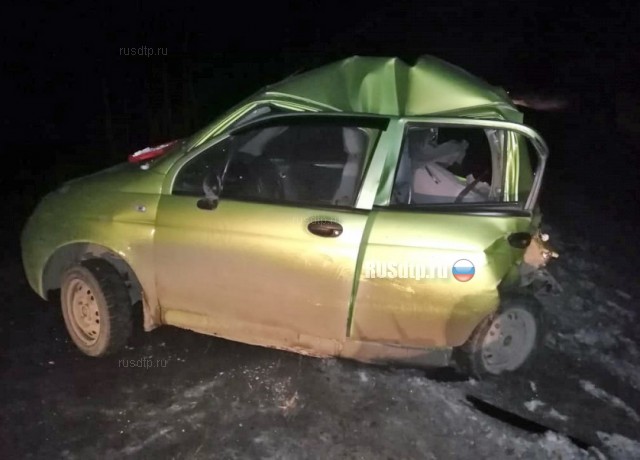 Женщина и ребенок пострадали в ДТП на трассе Екатеринбург – Курган