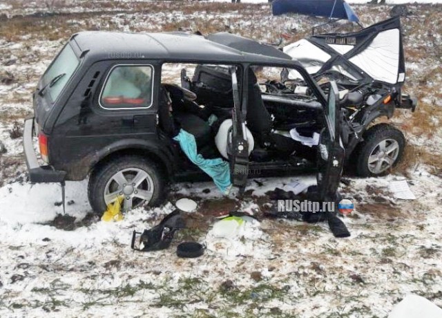Водитель «Нивы» погиб в ДТП в Саратовской области