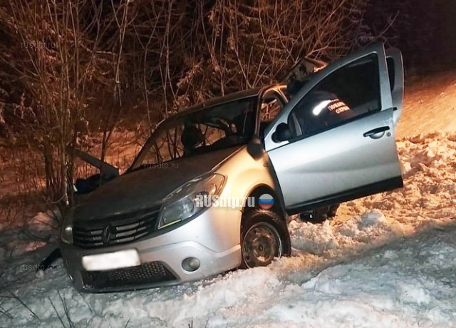 Рискованный маневр унес жизни водителя и пассажира в Удмуртии