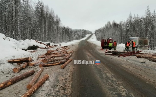 Выпавшие из лесовоза бревна убили водителя в Карелии