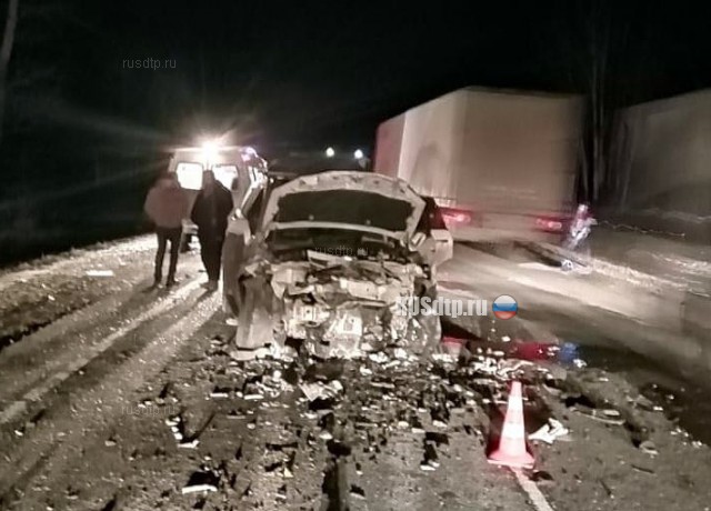 Двое погибли в ДТП на трассе М-5 в Путятинском районе
