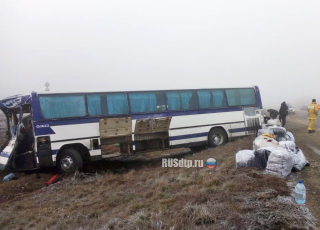Автобус столкнулся с грузовиком в Волгоградской области