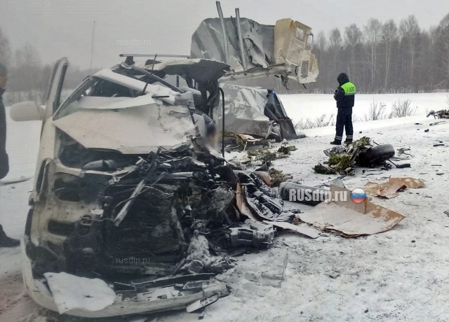 Двое погибли в ДТП с участием микроавтобуса и газовоза в Томской области