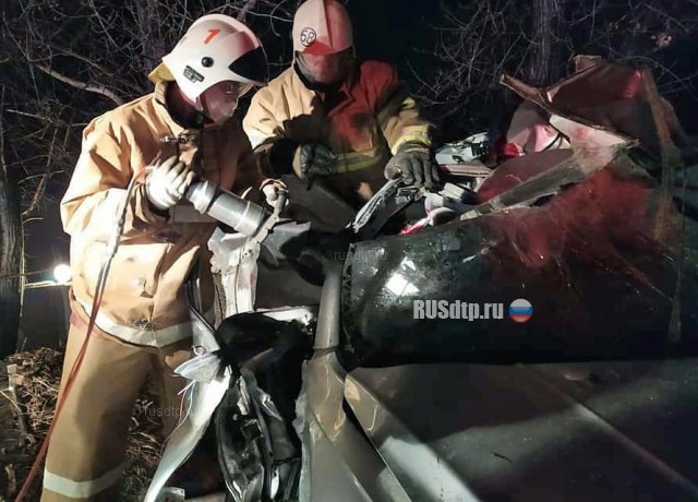 В Анапе автомобиль намотало на дерево: двое погибли