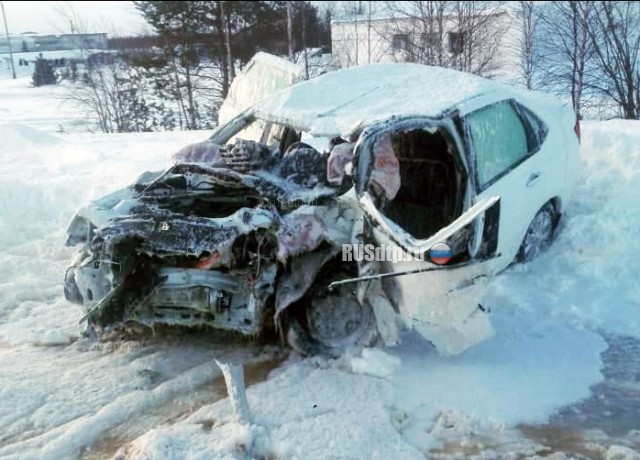 Трое погибли в ДТП на трассе Сургут – Салехард