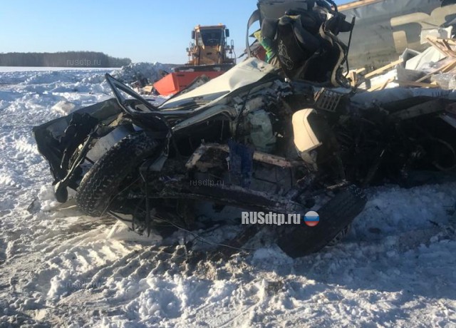 Дальнобойщик погиб в ДТП на трассе «Челябинск — Новосибирск»