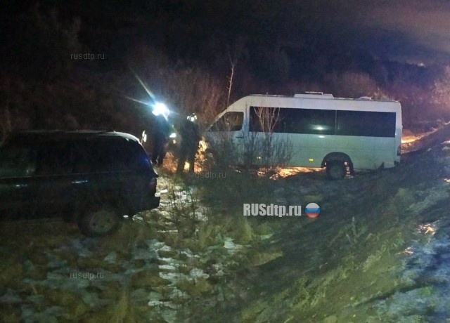 Шестеро пострадали в ДТП с микроавтобусом в Нижегородской области
