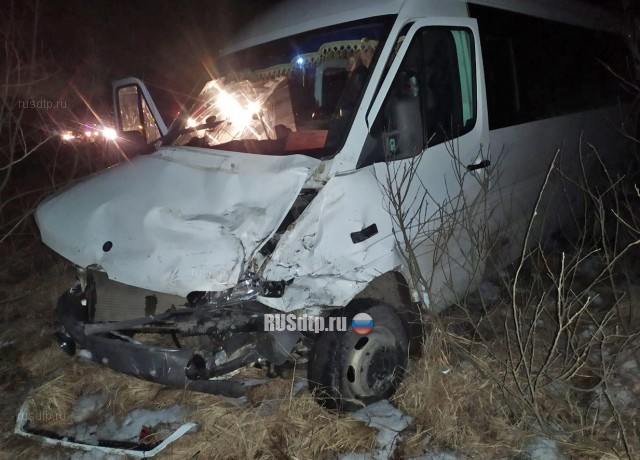 Шестеро пострадали в ДТП с микроавтобусом в Нижегородской области