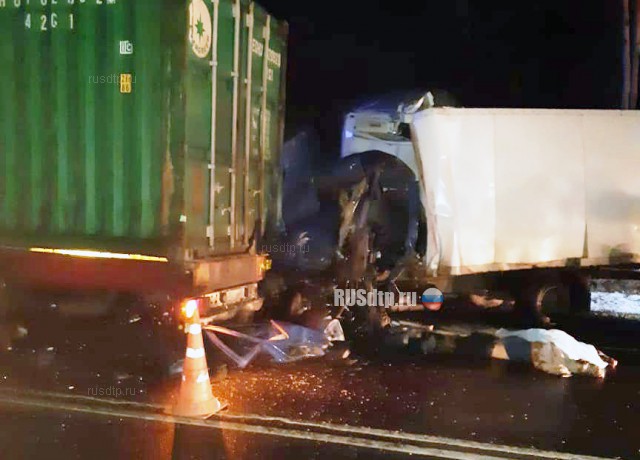 23-летний водитель «Газели» погиб в ДТП на трассе Санкт-Петербург — Невель