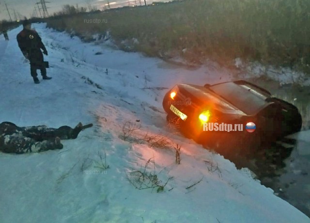 Водитель автомобиля Renault Duster опрокинулся в канаву с водой и погиб