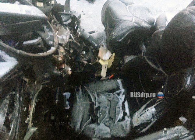 Двое погибли в ДТП на трассе «Сургут — Салехард»