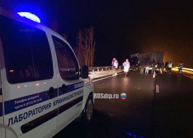 Восемь человек погибли в ДТП в Псковской области