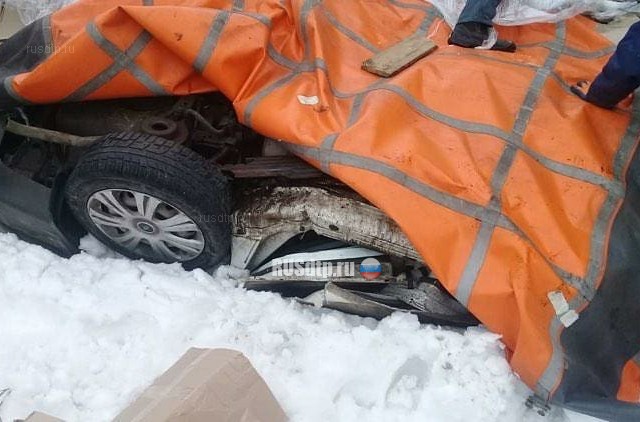 Двое погибли под встречной фурой в Татарстане