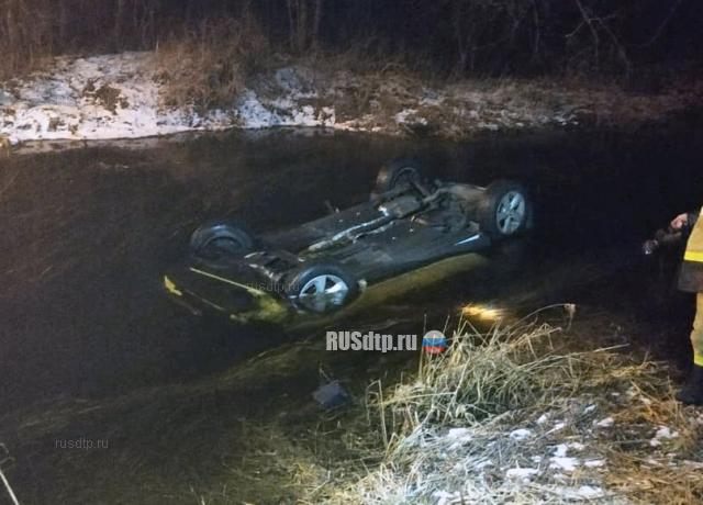 В Гатчине пьяный водитель утопил в реке каршеринговый автомобиль