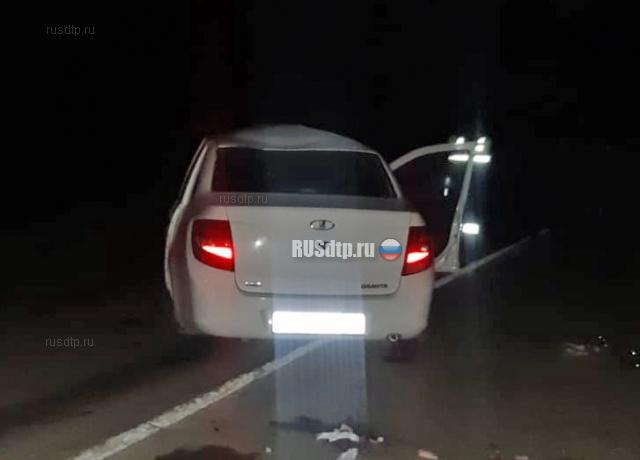 16-летний пассажир «Лады» погиб в ДТП с лошадью на трассе «Волгоград — Астрахань»