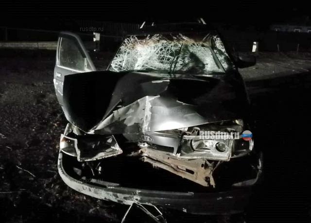 Пьяный водитель сбил семью из пяти человек в Воронежской области