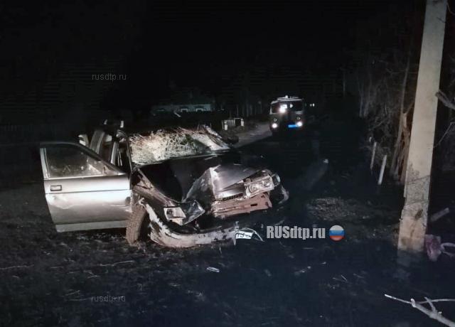 Пьяный водитель сбил семью из пяти человек в Воронежской области