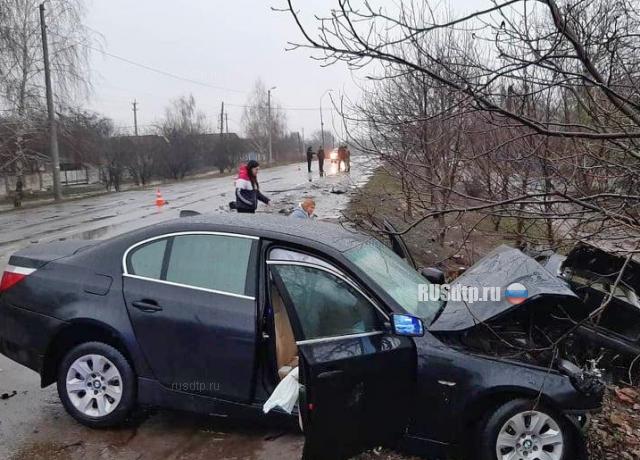 Четыре человека погибли в ДТП в Житомирской области